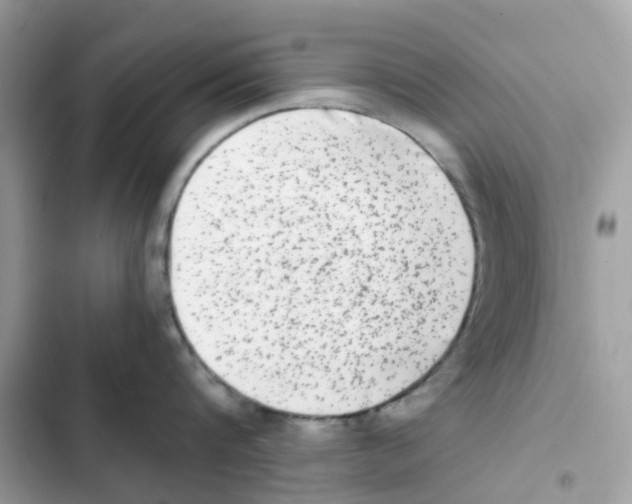 X0000102000816200808151446