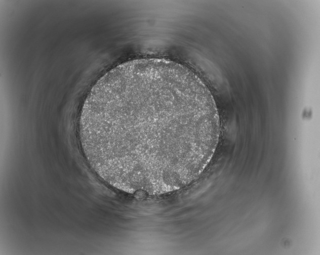 X0000102000817200808151445