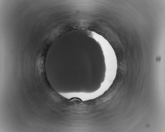 X0000102000818200808151445