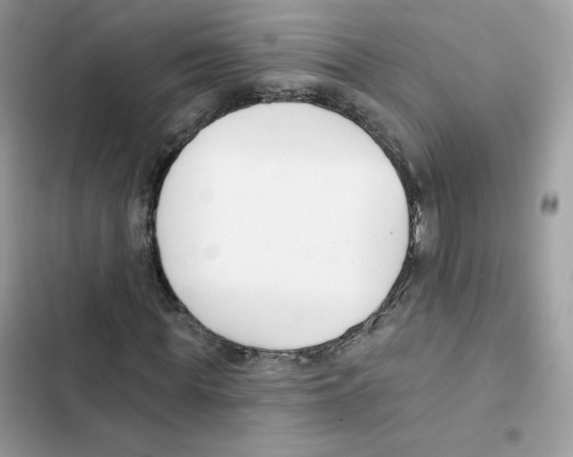 X0000102000819200808151445