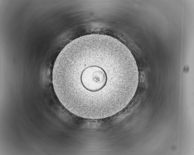 X0000102000820200808151445