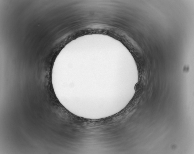 X0000102000821200808151445