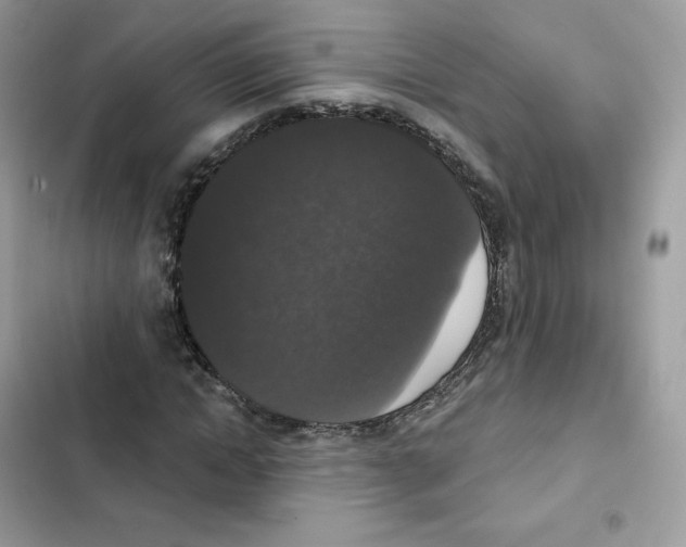 X0000102000822200808151445