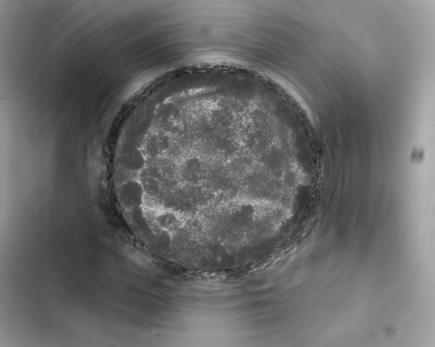 X0000102000823200808151445