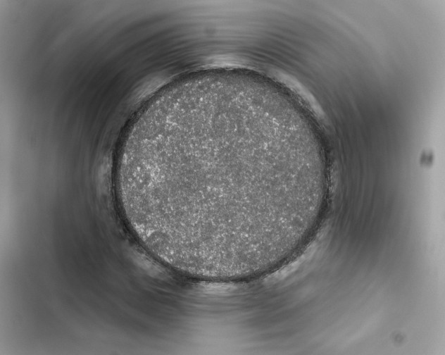 X0000102000825200808151445