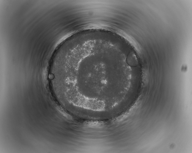 X0000102000826200808151445