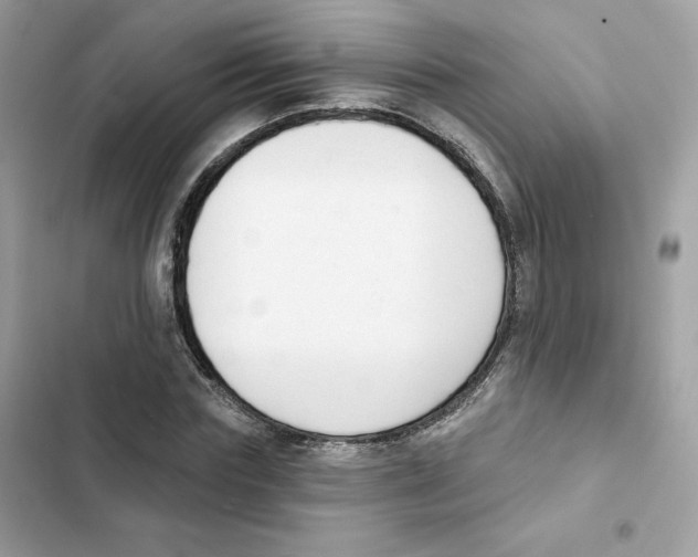 X0000102000827200808151445