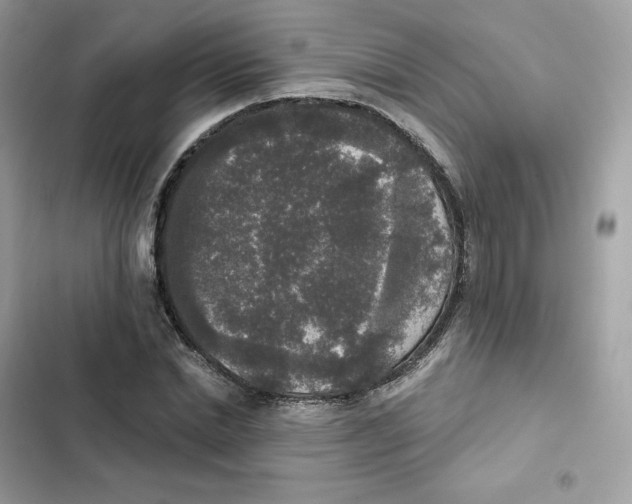 X0000102000830200808151445