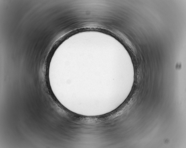 X0000102000831200808151445