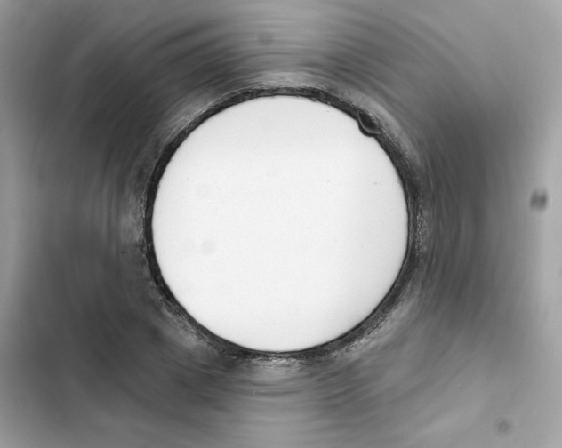 X0000102000833200808151445