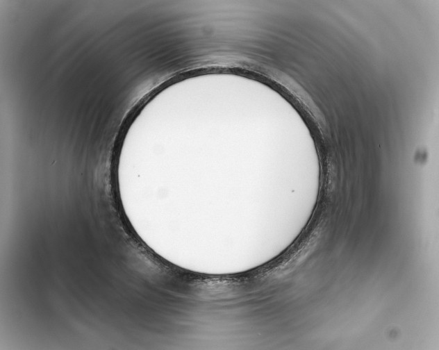 X0000102000834200808151445