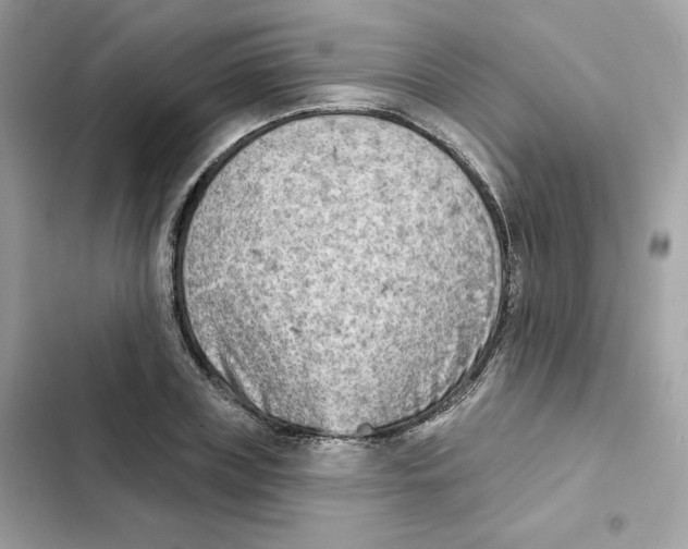 X0000102000835200808151445