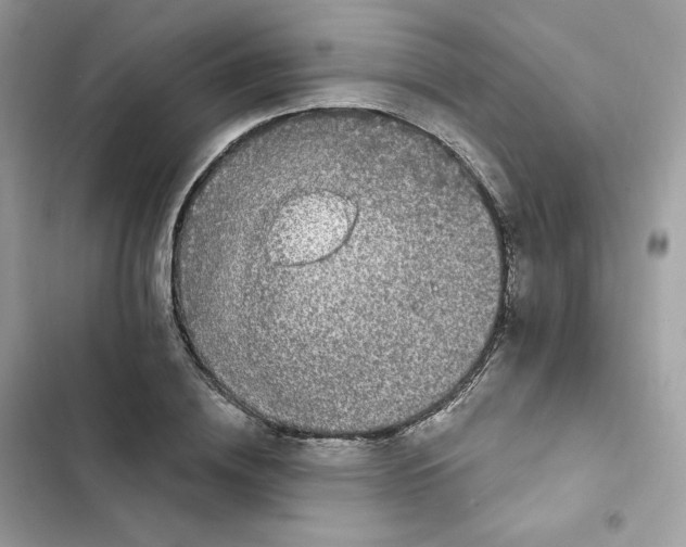 X0000102000836200808151445