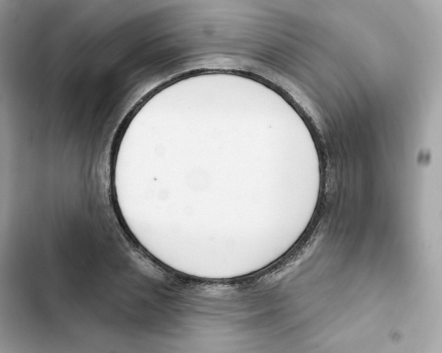 X0000102000837200808151445