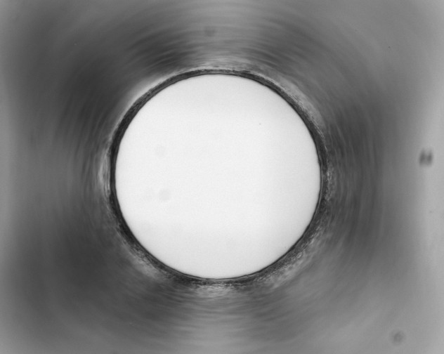 X0000102000838200808151445