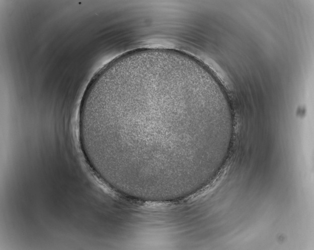 X0000102000840200808151445