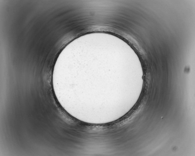 X0000102000841200808151445