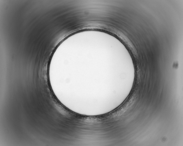 X0000102000842200808151445