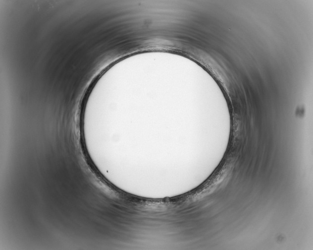 X0000102000843200808151445