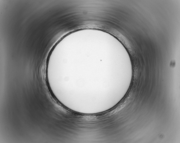 X0000102000844200808151445