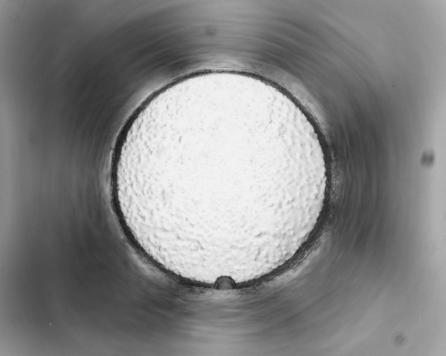 X0000102000845200808151445