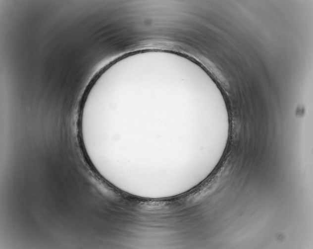 X0000102000846200808151445