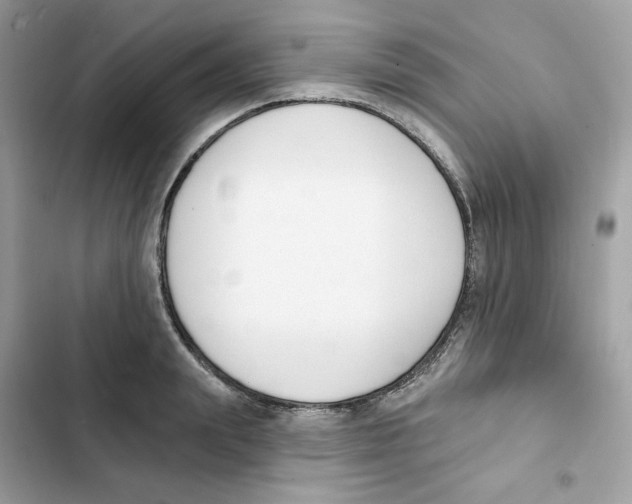 X0000102000847200808151445