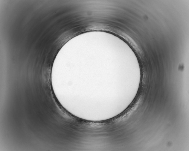 X0000102000849200808151445