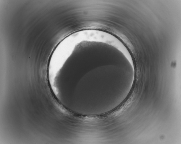 X0000102000850200808151445