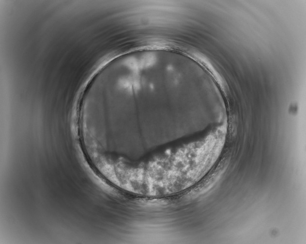 X0000102000851200808151445