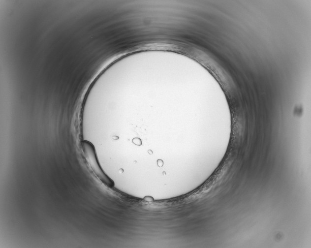 X0000102000852200808151445