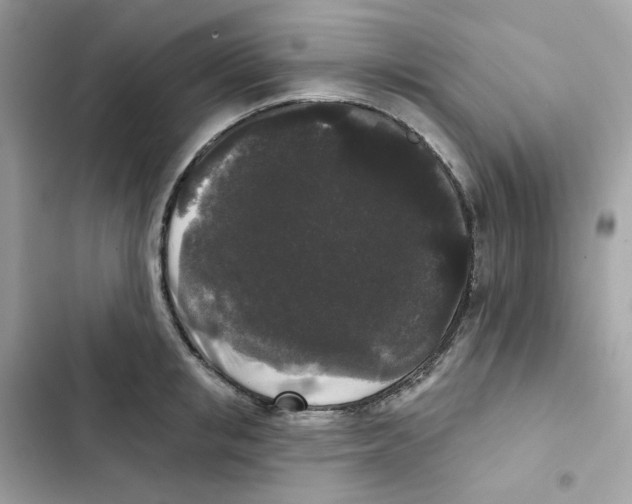 X0000102000853200808151445