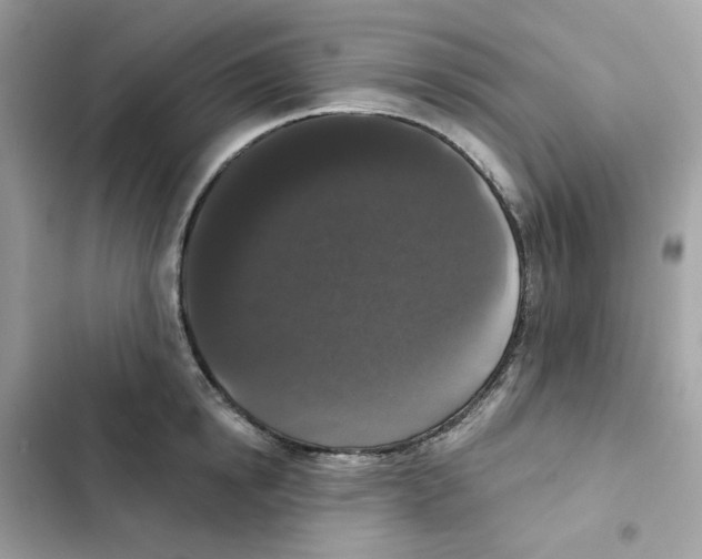 X0000102000854200808151445