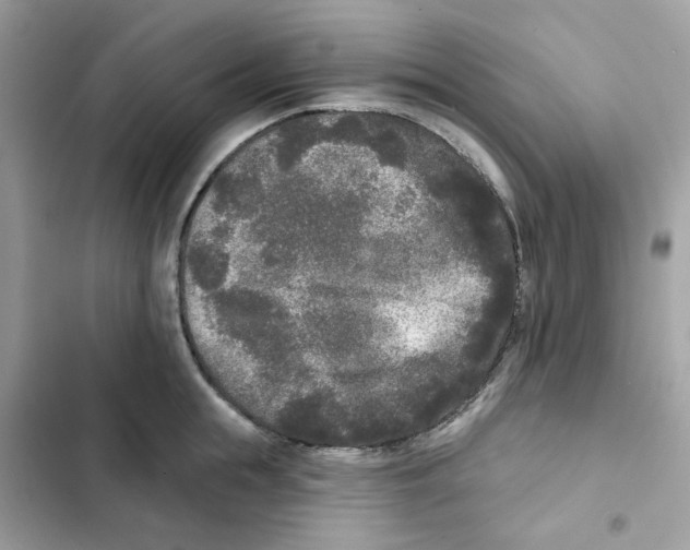 X0000102000855200808151445