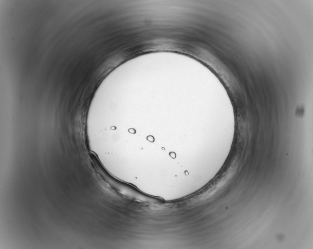 X0000102000857200808151445