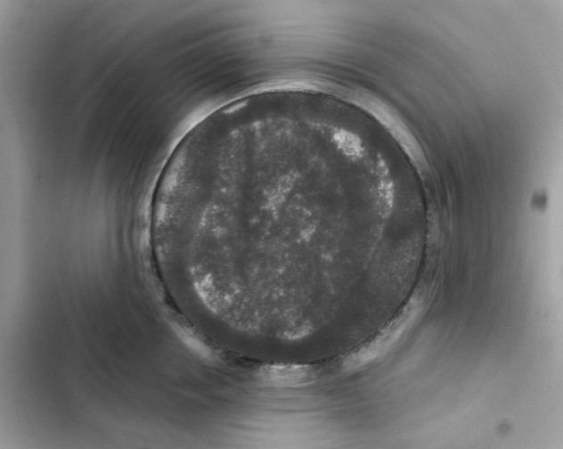 X0000102000858200808151446