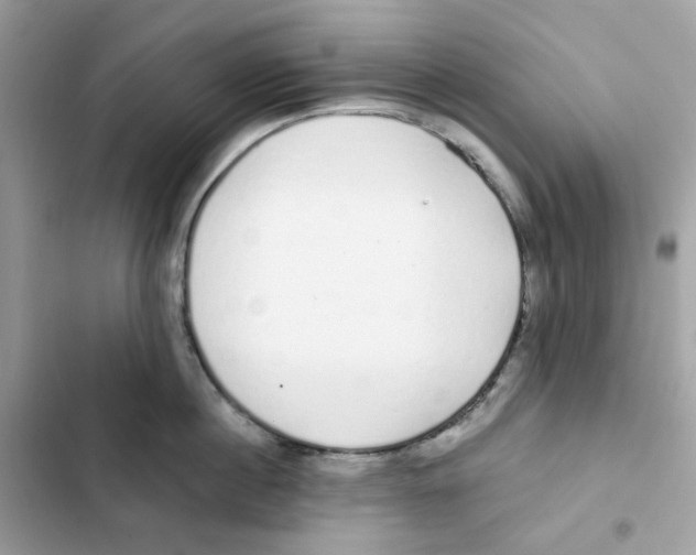 X0000102000860200808151446