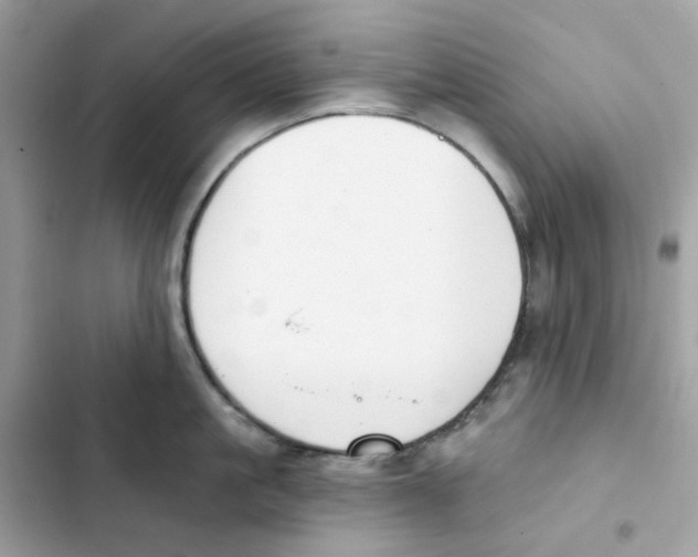 X0000102000861200808151446