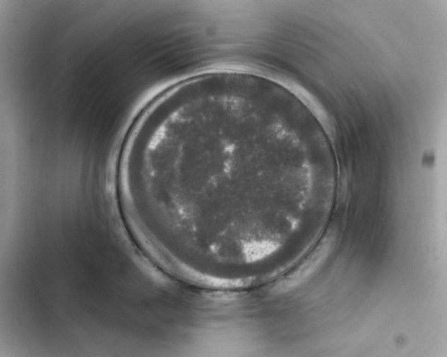 X0000102000862200808151446