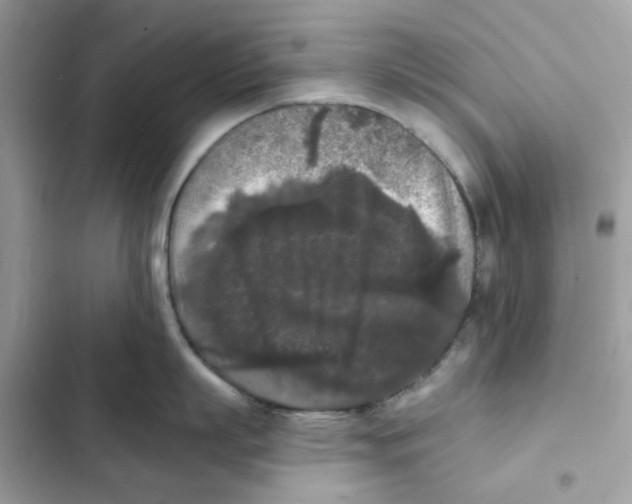 X0000102000863200808151446