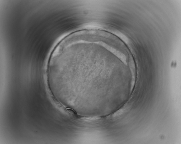 X0000102000864200808151446