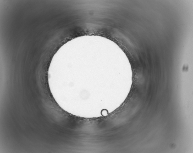 X0000102000865200808151445