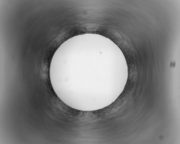 X0000102000866200808151445