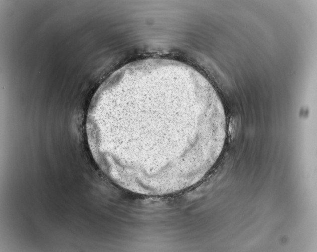 X0000102000867200808151445