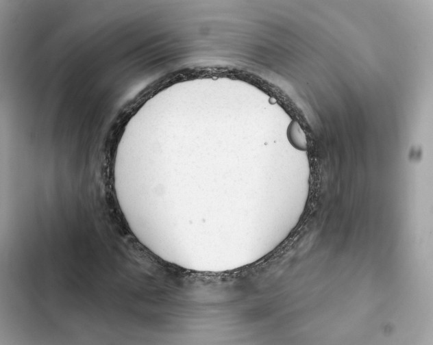 X0000102000871200808151445