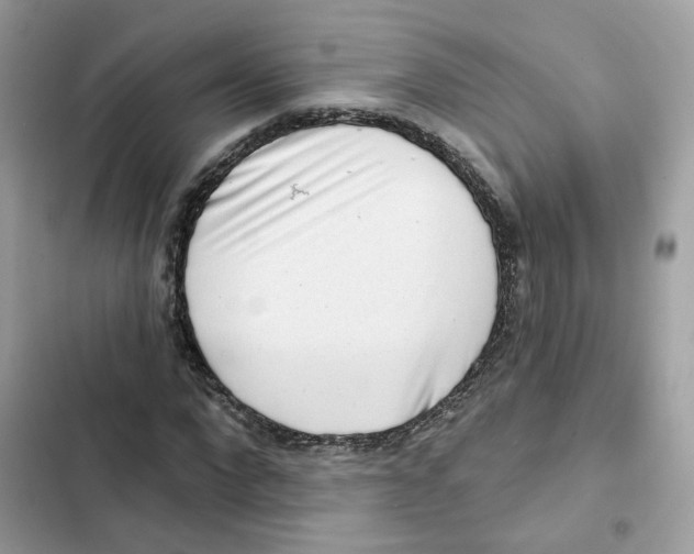 X0000102000872200808151445