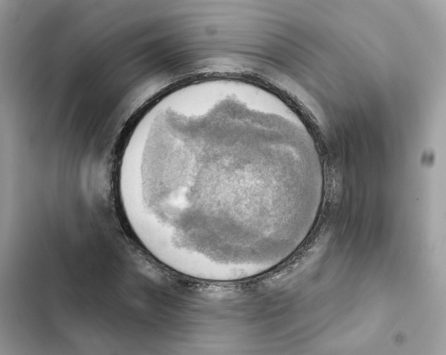 X0000102000874200808151445