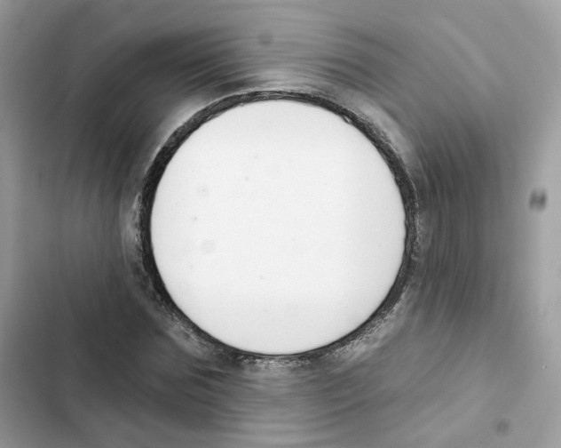 X0000102000875200808151445