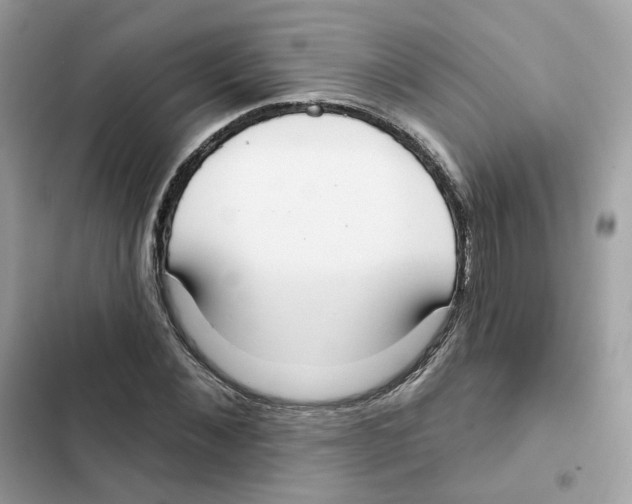 X0000102000876200808151445