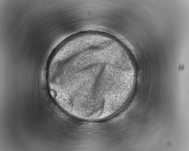 X0000102000877200808151445